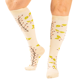 Summer Sunset 6 Pack