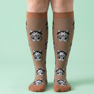 compression socks